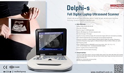 Dolphi-s.jpg